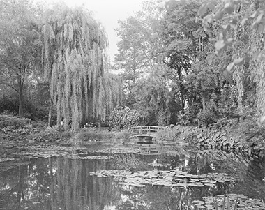 Elger Esser, Combray (Giverny I), 2010, Héliogravure sur papier fait main, 117 x 133 x 6 cm